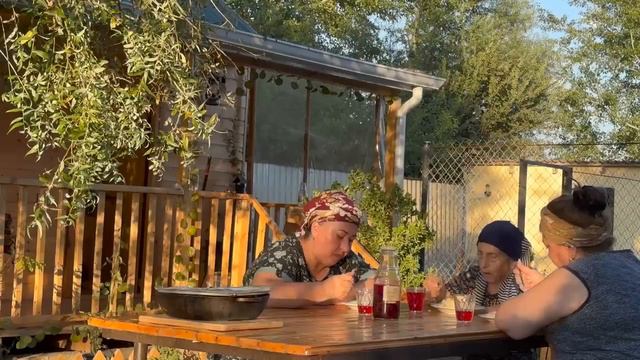 Plum Harvest | Grandma's Delicious Appetizers And Recipes