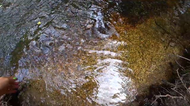 БОРОВОЕ КАЗАХСТАН Знаменитая Ракушка и Водопад-Иманаевский родник #боровое #бурабай #зеренда смотреть онлайн