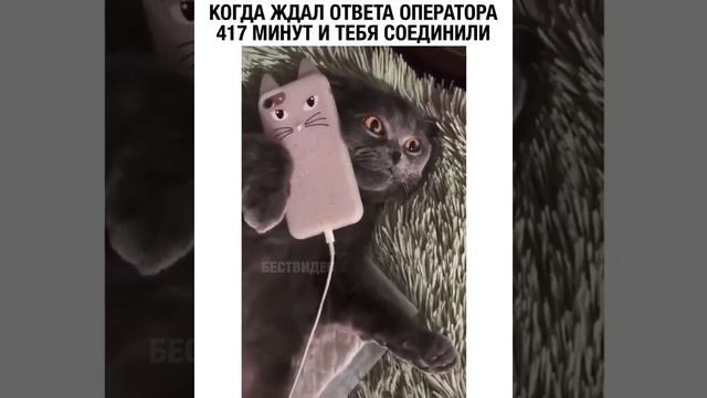 video_8@06-09-2020_12-26-07.mp4 смотреть онлайн