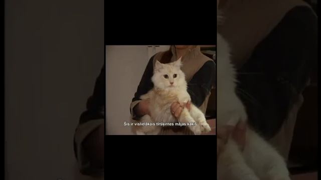 Про мейкуна