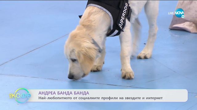 Андреа Банда Банда: Най-любопитното от социалните профили на звездите - „На кафе” (18.05.2021) смотреть онлайн