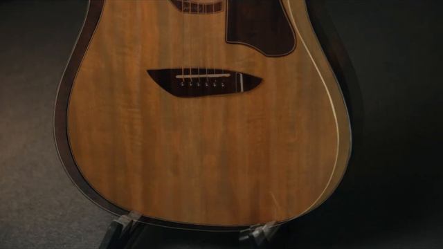 Gopher Wood Acoustic Guitar ( K250RE NA )