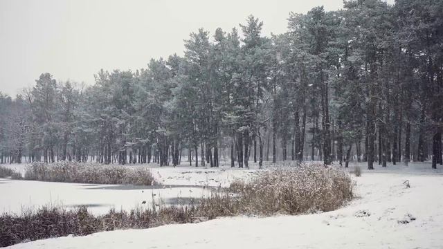 Самая красивая мелодия на свете! Сборник ЛУЧШИХ Мелодий от которых мурашки по телу! Снежная зима смотреть онлайн