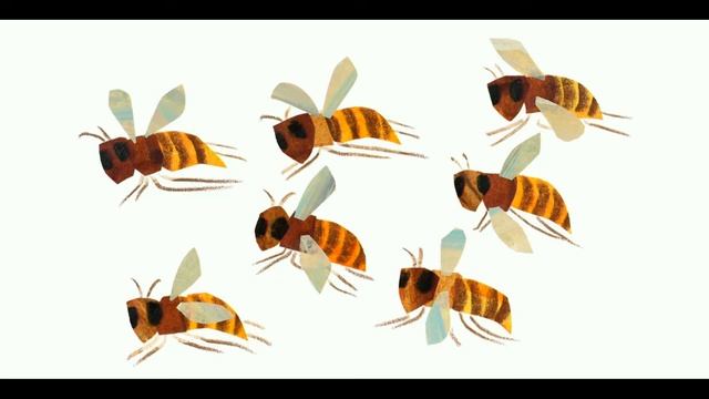 Dave Hall - Drupal: Caterpillar to butterfly - DrupalSouth 2017 - Rangatira смотреть онлайн