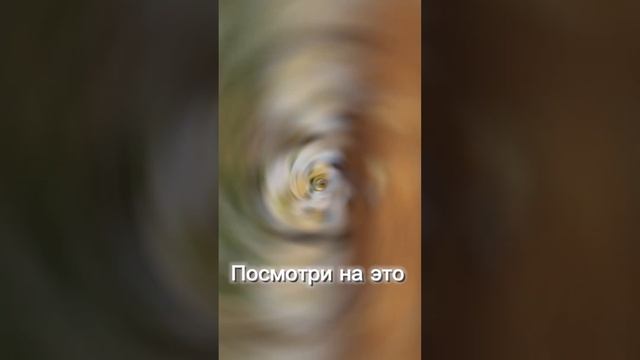 #shots #цветы #декор #воронеж #букеты #мыльныерозы #новыйгод #праздниккнамприходит #новогоднийдекор смотреть онлайн