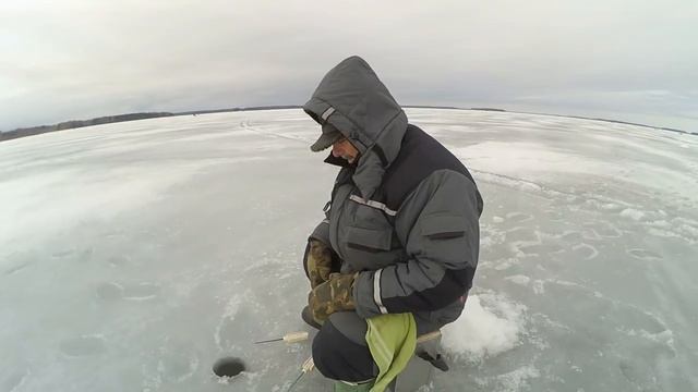 Глухозимье затянулось. Зимняя рыбалка. Дубна. Иваньковское водохранилище. Черная морковка. Шлагбаум смотреть онлайн