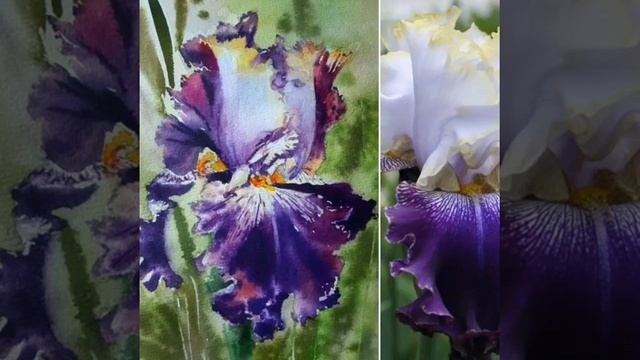 Цветы акварелью смотреть онлайн