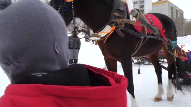 Масленица Песни Весело катаемся и кормим лошадку блины для детей vlog топ смотреть онлайн