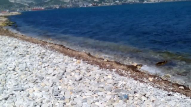 Мастер должен отдыхать / день без ГЕЛЬ-ЛАКА и НОГТЕЙ / Viktoria Shahova смотреть онлайн