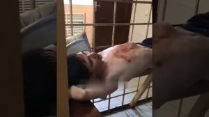 ильназ галиев