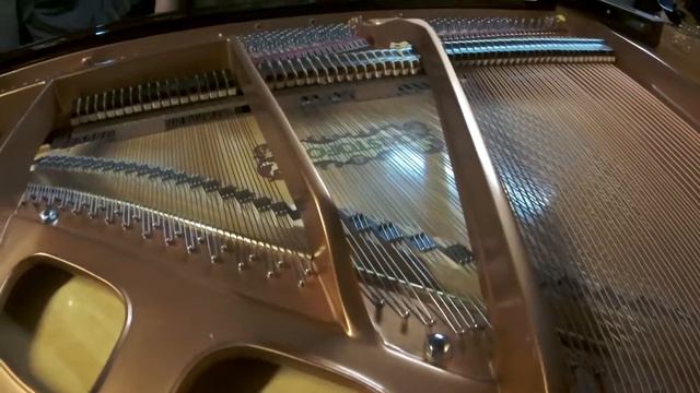 Alexandre sur un piano a queue Cristofori смотреть онлайн