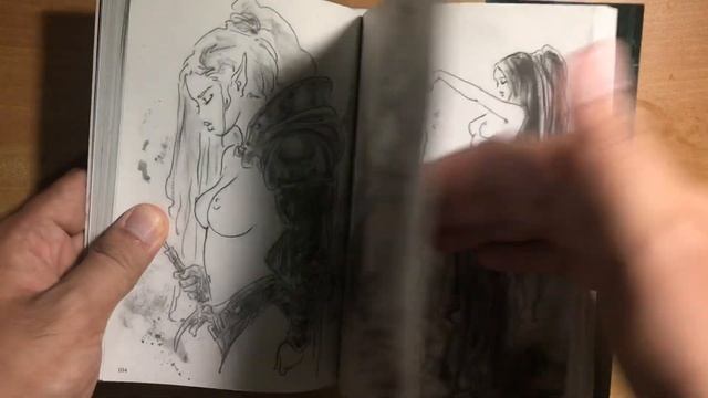 Luis Royo: Wild Sketches Vol. 2 #QuickLook #SketchbookSeries #LuisRoyo смотреть онлайн