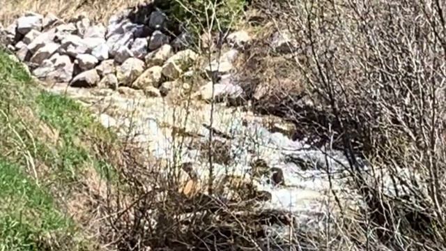 Fool Me Once смотреть онлайн