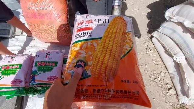 БУГДОЙ МАКА АРПА ГУРУЧ САБЗИ КАРТОШКА ПИЁЗ ВА БОШҚА НАРСАЛАР НАРХЛАРИ ЖИГАРЛАР МАРХАМАТ СИЗЛАР УЧУН смотреть онлайн
