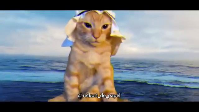 арабский котик музыка смотреть онлайн