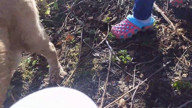 Купили заброшенную Дачу. Начало работ на заброшенном участке. country house in Russia смотреть онлайн