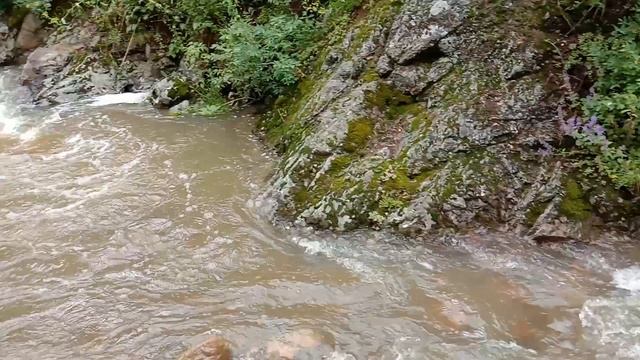 р.Синюшка ч3 смотреть онлайн