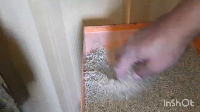 Техасцам 3 недели! (Тип корма, помол, расход на 200 голов). смотреть онлайн