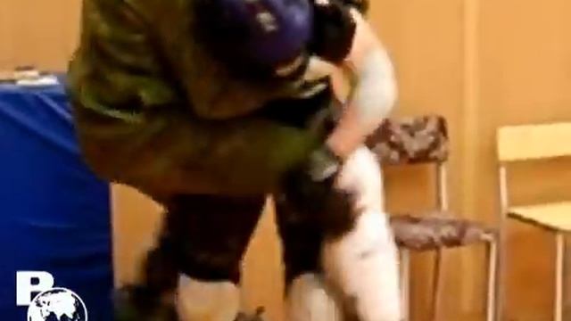 Нарезка из боев смотреть онлайн