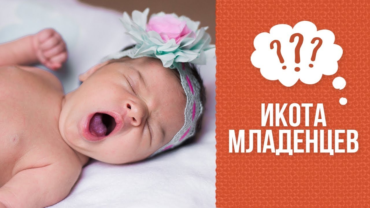 Почему младенцы икают смотреть онлайн