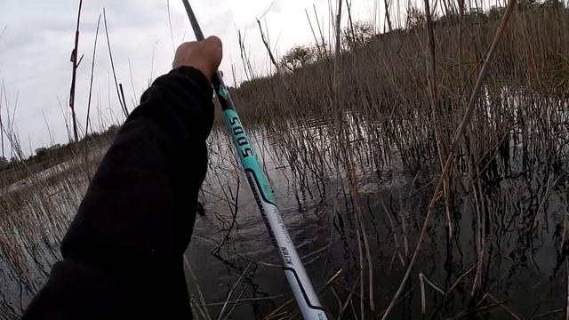 Рыба и осенью кушать хочет. Рыбалка в конце октября. Супер клев. My fishing смотреть онлайн