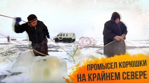 "С Полем!": Зимний промысел корюшки на Крайнем Севере