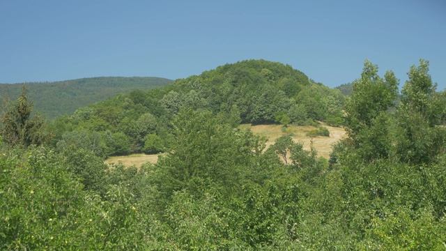 Summer Rolling Hills For Meditation, Stress Relief, Study смотреть онлайн