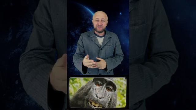 Почему современные обезьяны так и не стали человеком? #Shorts смотреть онлайн