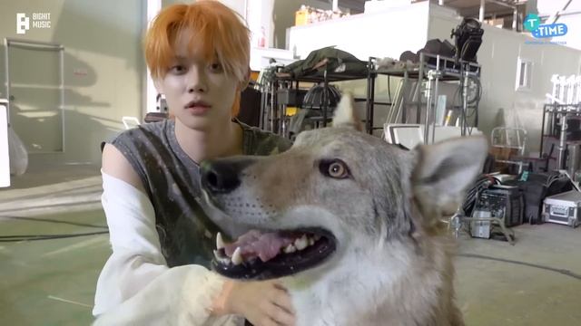 [T:TIME] Doggo Lovers X TOGETHER - TXT (투모로우바이투게더) смотреть онлайн