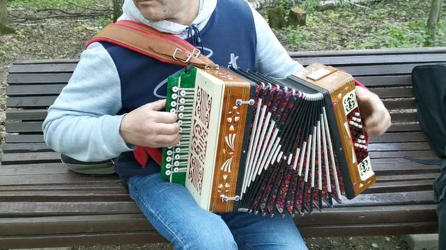 Наигрыши на гармошке От Виктора и Долматова Алексея смотреть онлайн