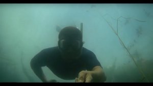 Озера затерянные в тайге. По озерам Псковской области. Озеро Синовино.