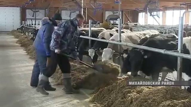 Фермеры всего Приморья собрались на семинар в Михайловском районе смотреть онлайн