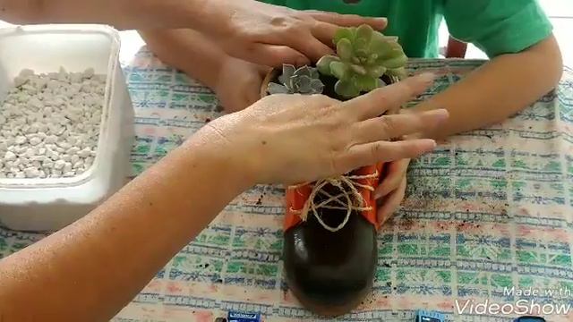 💙Ma💙 plantando E. Goiabinha смотреть онлайн