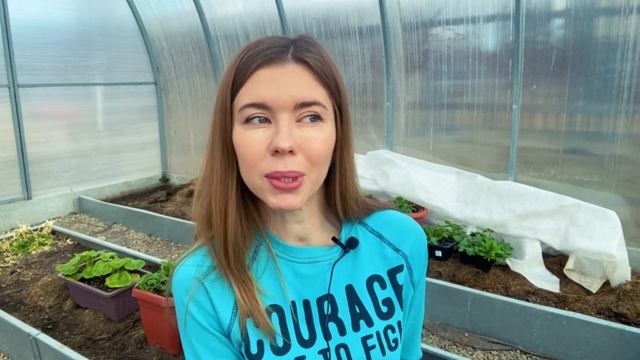 Какие овощи и когда можно СЕЯТЬ без рассады СРАЗУ В ГРУНТ смотреть онлайн