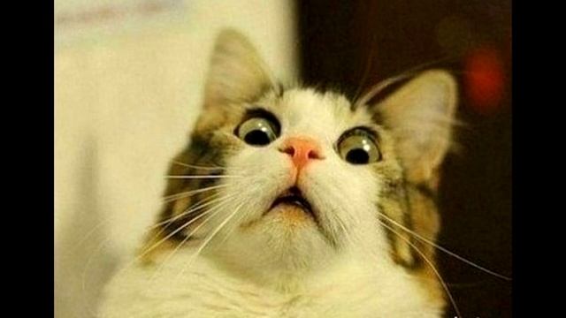 МФОшки смотреть онлайн