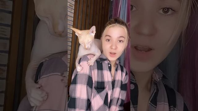 ВЫ ЭТОГО ТОЧНО НЕ ЗНАЛИ О СФИНКСАХ #4 смотреть онлайн