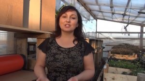 Обработка земляники весной. "Бургундская смесь".