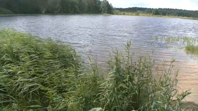 2016-07-10 - Волчиха, озеро Шишовское - PIC 0361 смотреть онлайн
