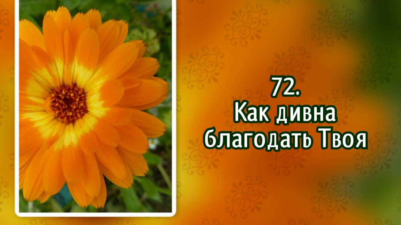 Гимны надежды 72 Как дивна благодать Твоя (-) смотреть онлайн