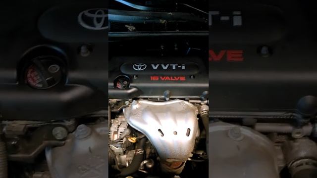 2azfe oil test noise Blackburn смотреть онлайн