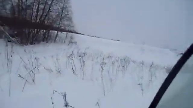ТИКСИ 600 на прогулке смотреть онлайн