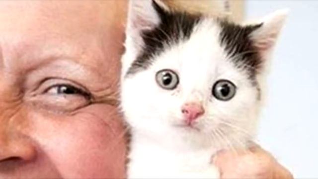 Мужчина услышал писк из коробки и решил проверить... смотреть онлайн