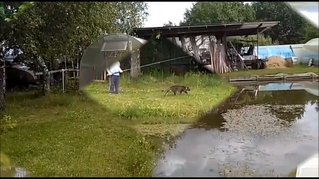 Ванёк рыбачок смотреть онлайн