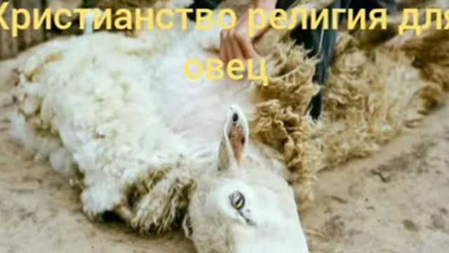 Христианство - религия для овец. смотреть онлайн