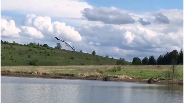 Река Плавица Тульская обл. Плавский р-он 25 мая 2020 смотреть онлайн