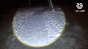 Проверка и тест яркого налобного фонаря с ЗУМом  PM10-TG . обзор и тест в лесу