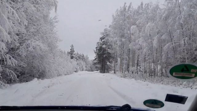 Едем в лес!!!???/ЗИМНЯЯ СКАЗКА!!!❄☃️?#benita_life_vlog #зимавдеревне #жизньвдеревне