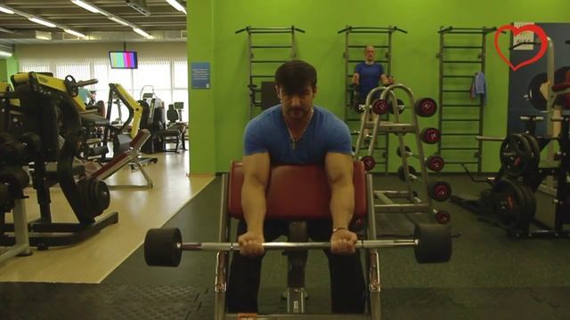 Сгибание рук со штангой в скамье «Larry Scott» смотреть онлайн