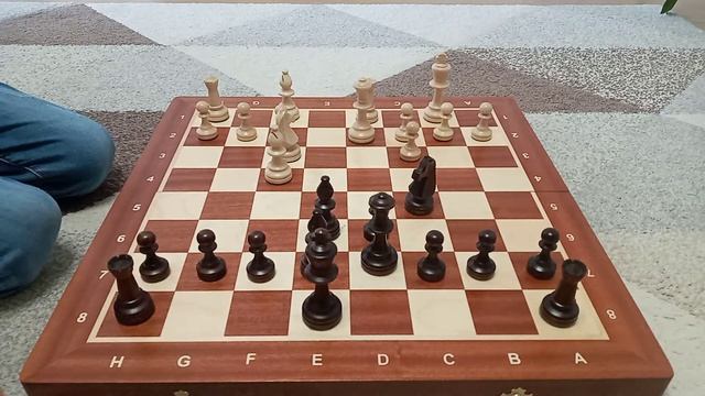 Шахматы. Ставим красивый мат чёрными в русской партии. смотреть онлайн