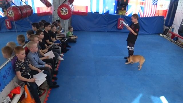 Доклад на тему: Тайсон Фьюри смотреть онлайн